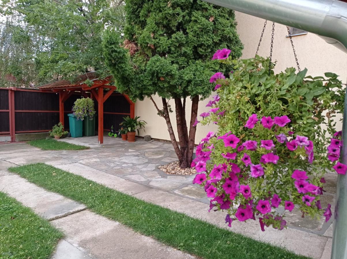 Apartman Ady 6 Senta Exterior foto
